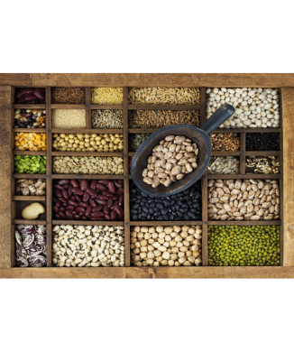 Zásuvky na semena G1828 PINTDECOR