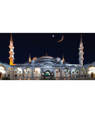 Obraz KOUZELNÝ HRAD G2156 PINTDECOR