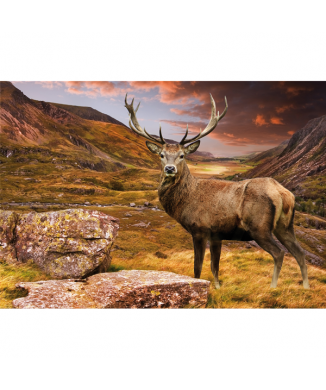 Obraz JELEN G3272 PINTDECOR