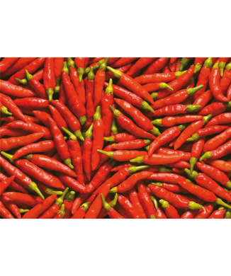 CHILES G2726 PINTDECOR malba