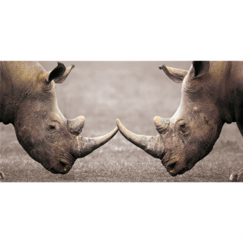 KONTAKT Rám G3316 PINTDECOR