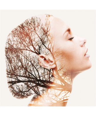 Malba DAFNE G3790 PINTDECOR