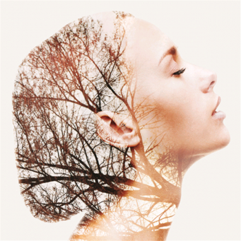 Malba DAFNE G3790 PINTDECOR