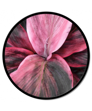 KVĚTINOVÝ DETAIL GT6188 PINTDECOR