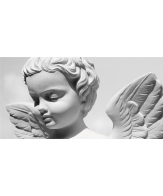 Obraz MŮJ SLADKÝ ANDĚL G2286 PINTDECOR