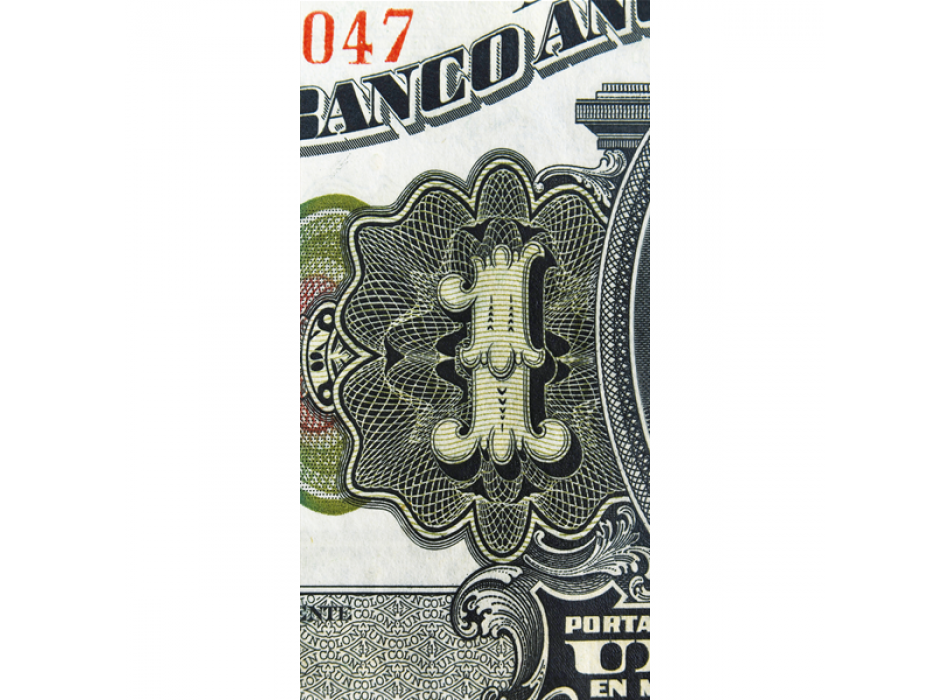 DOLLARO G2998 PINTDECOR malba