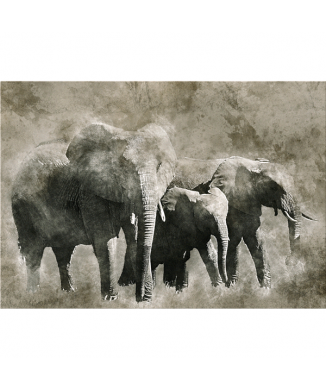 Obraz SLONCI G6004 PINTDECOR