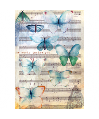 Obraz MOTÝLI V HUDBĚ G3962 PINTDECOR