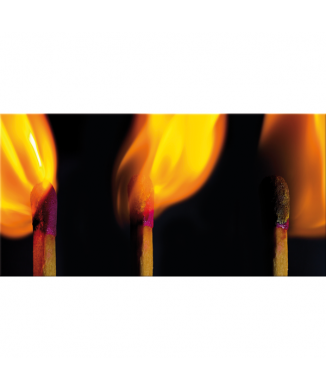 FIAMMA G2616 PINTDECOR obraz