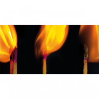 FIAMMA G2616 PINTDECOR obraz