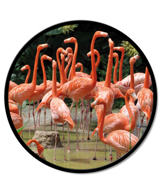 Rámec FLAMINGO GT6542 PINTDECOR