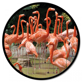 Rámec FLAMINGO GT6542 PINTDECOR