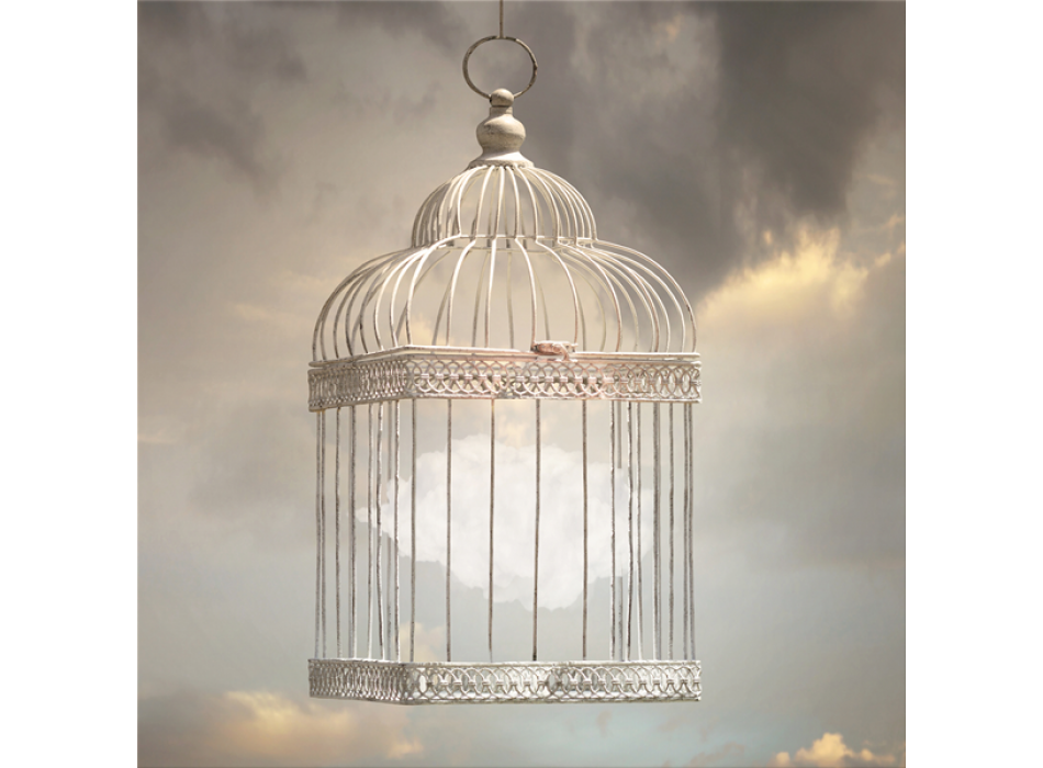 Malba FLY G2954 PINTDECOR