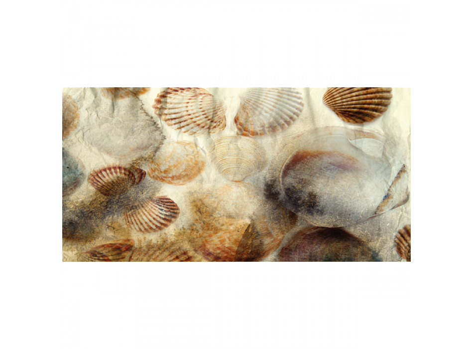 Obraz fosilií mušlí G2038 PINTDECOR