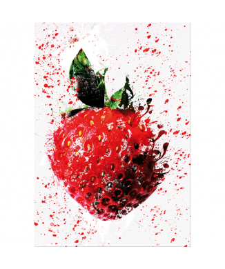 Lakování FRAGOLONA G5818 PINTDECOR