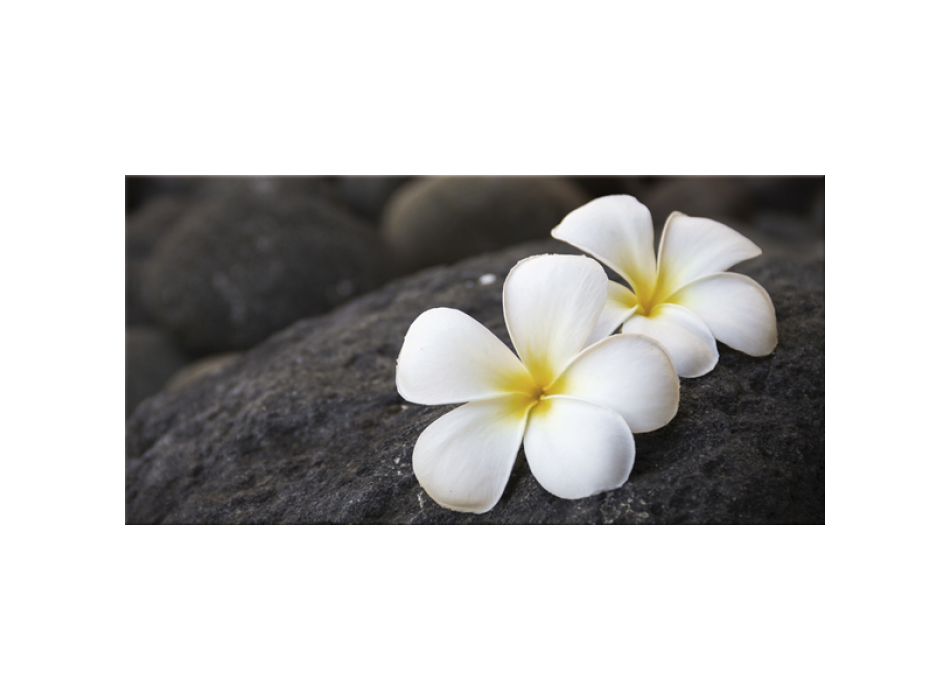 Obraz FRANGIPÁN G2620 PINTDECOR