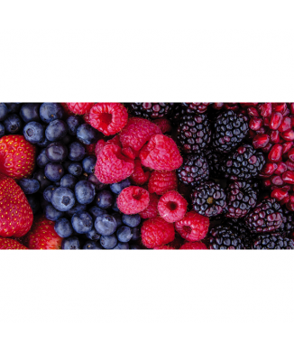 Obraz s lesními plody G1870 PINTDECOR