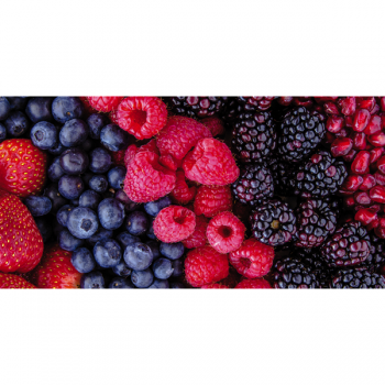 Obraz s lesními plody G1870 PINTDECOR