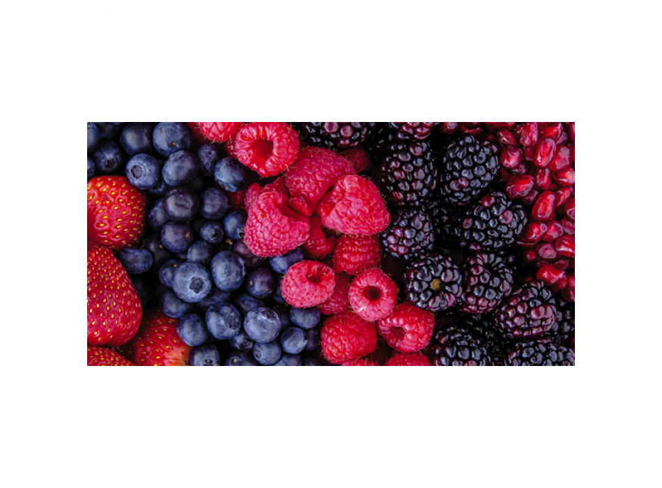 Obraz s lesními plody G1870 PINTDECOR