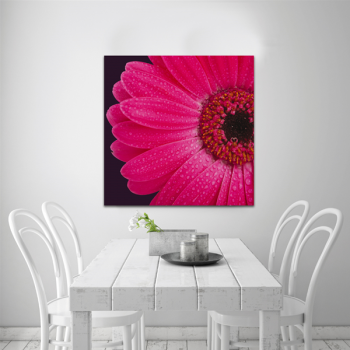GERBERA G1110 PINTDECOR obraz