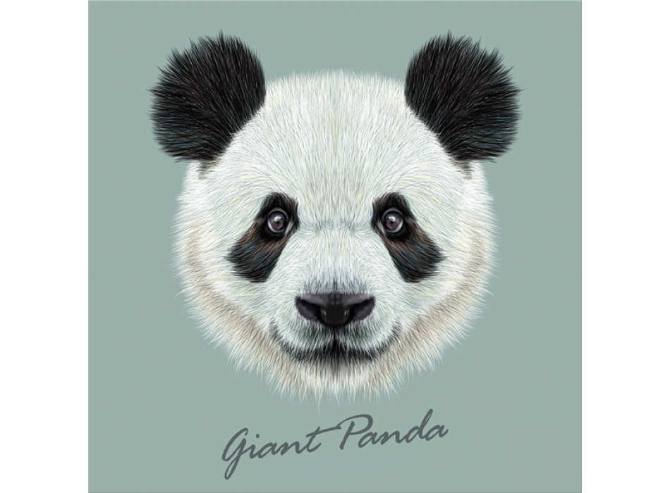 Rámec GIANT PANDA G3382 PINTDECOR
