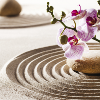 Obraz ZAHRADA SVĚTLA G2248 PINTDECOR