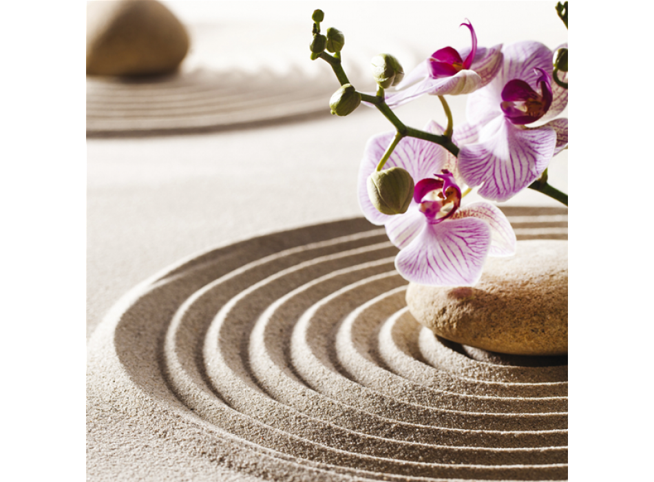 Obraz ZAHRADA SVĚTLA G2248 PINTDECOR