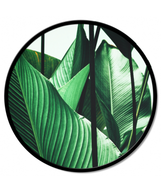 VELKÉ LISTY GT6200 PINTDECOR Malba