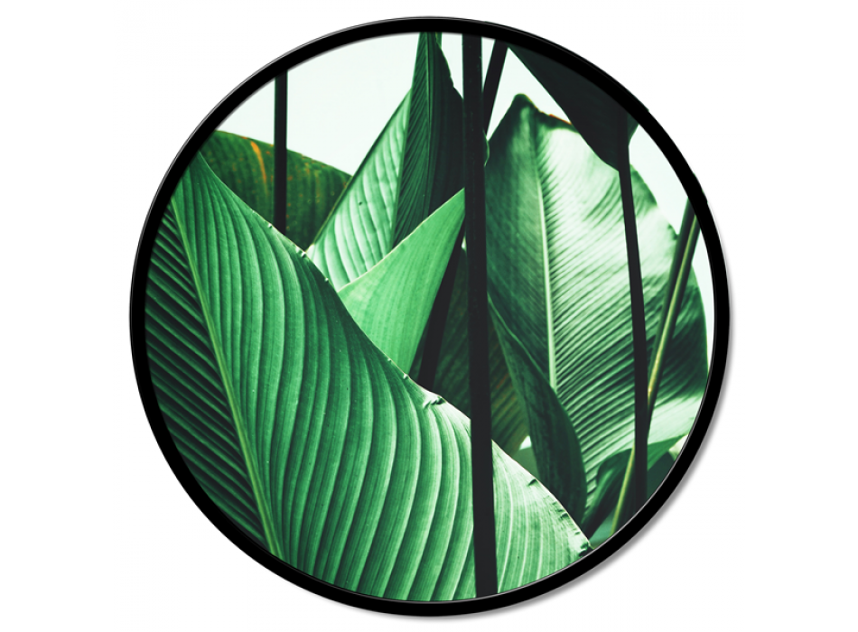 VELKÉ LISTY GT6200 PINTDECOR Malba