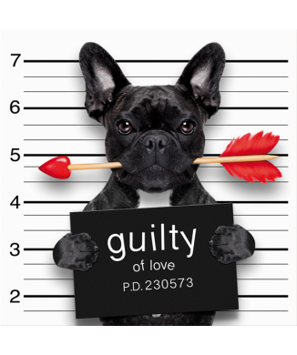 Obraz Guilty G3358 PintDecor