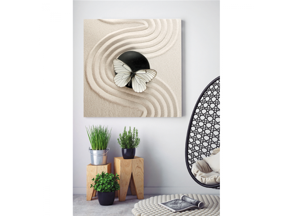 Obraz KÁMEN A MOTÝL G2242 PINTDECOR