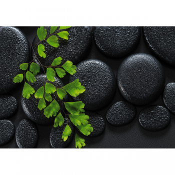 Obraz ZELENÁ A ČERNÁ G2270 PINTDECOR