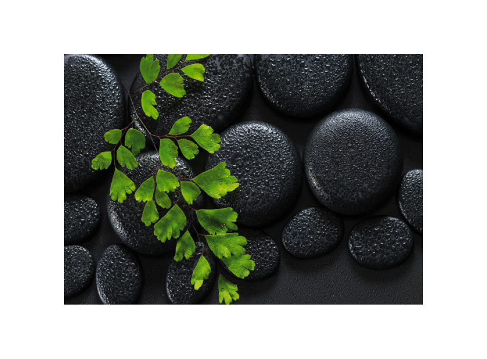 Obraz ZELENÁ A ČERNÁ G2270 PINTDECOR