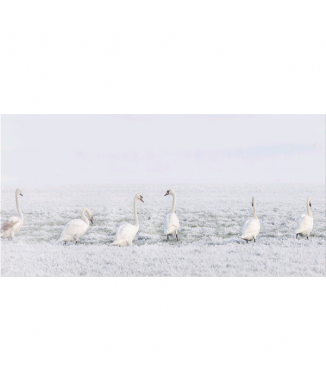 Rámec IN ROW G5940 PINTDECOR