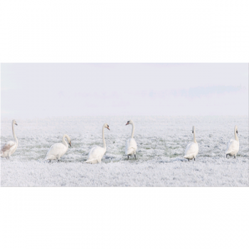 Rámec IN ROW G5940 PINTDECOR