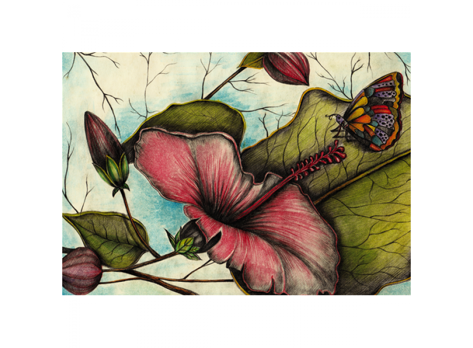 Obraz MOTÝL NA IBIŠKU G1988 PINTDECOR