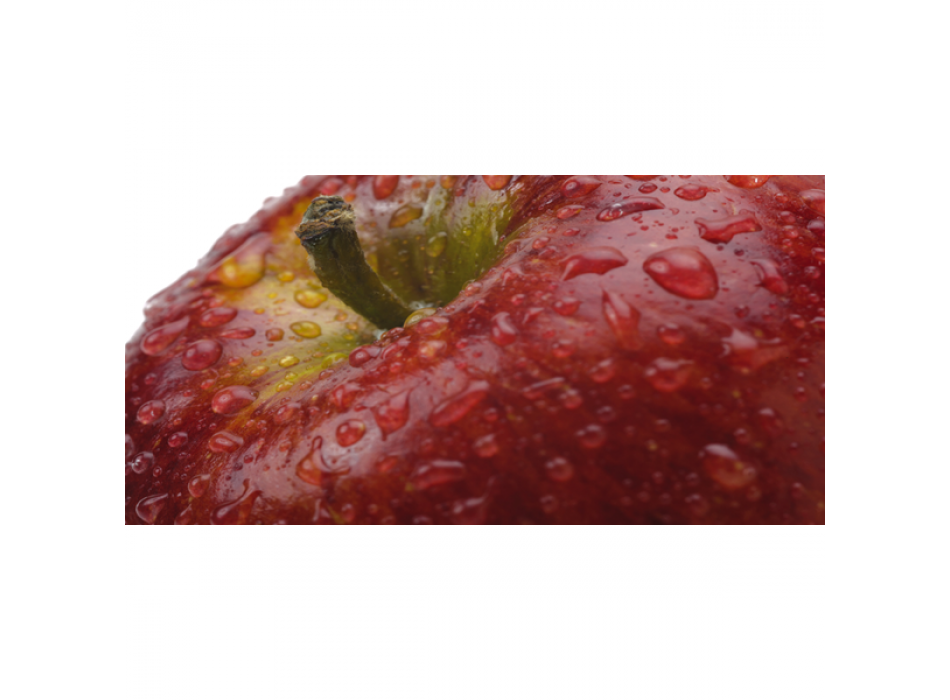 Obraz JABLKO G1876 PINTDECOR