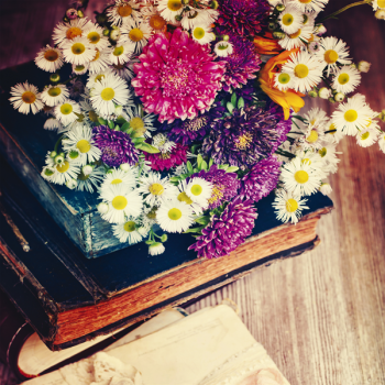 Obraz KNIHY S KVĚTINAMI G1080 PINTDECOR