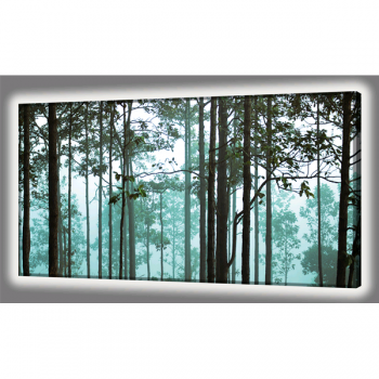 ROZSVĚTLENÁ OBRAZOVKA BOSCO GL4450 PINTDECOR