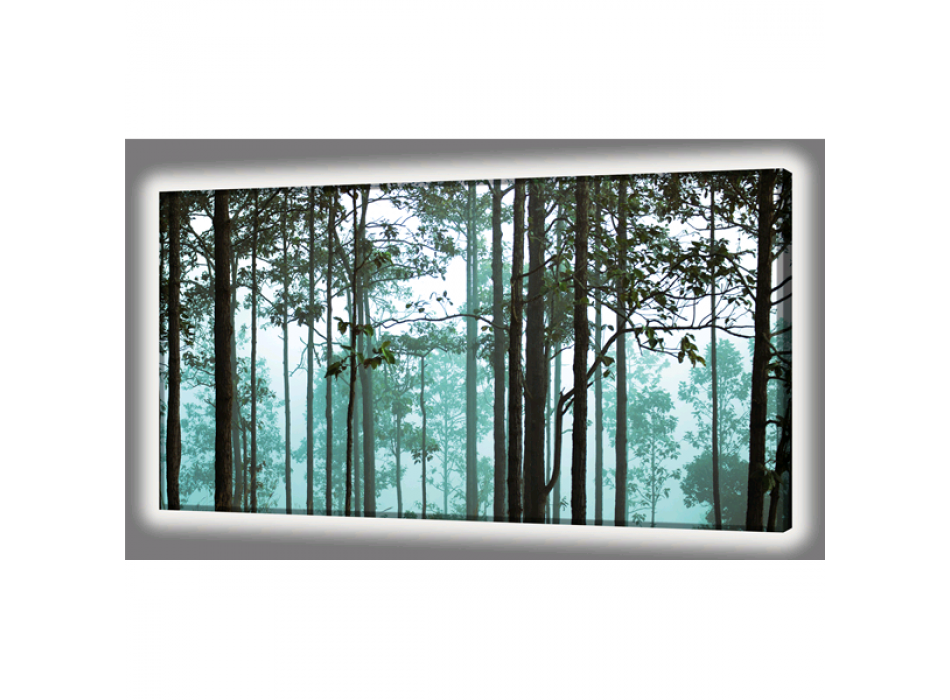 ROZSVĚTLENÁ OBRAZOVKA BOSCO GL4450 PINTDECOR
