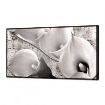 SVĚTLIVÝ CALLE GL3428 PINTDECOR obraz