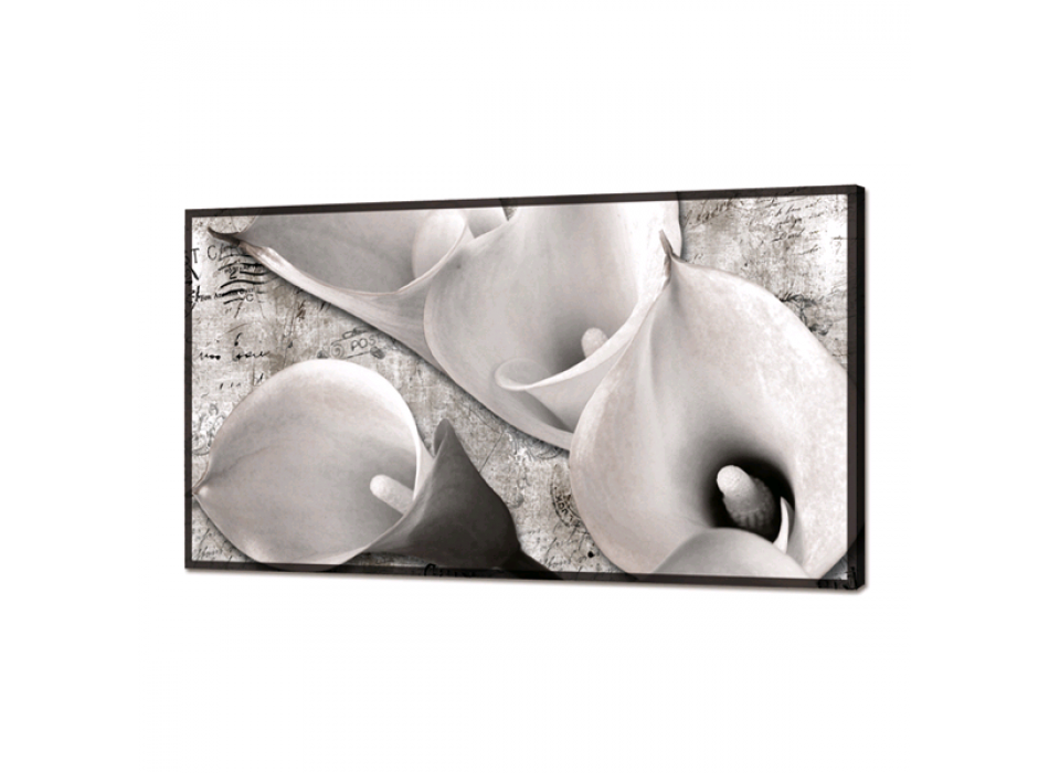 SVĚTLIVÝ CALLE GL3428 PINTDECOR obraz