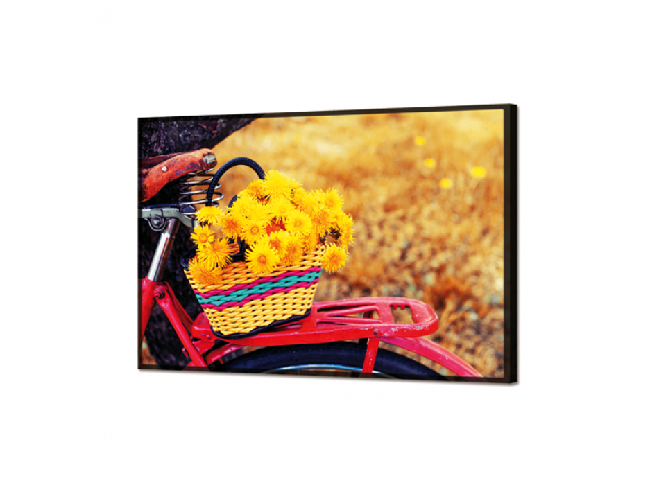 GL3438 PINTDECOR KVĚTINOVÝ KOŠÍK OSVĚTLENÍ OBRAZ