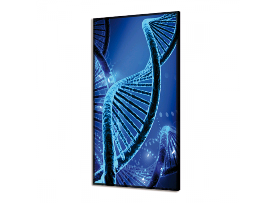 DNA GL3488 PINTDECOR SVĚTÍCÍ OBRAZ