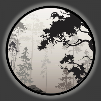 Obraz Tichý lesní světlo GLT6724 PINTDECOR