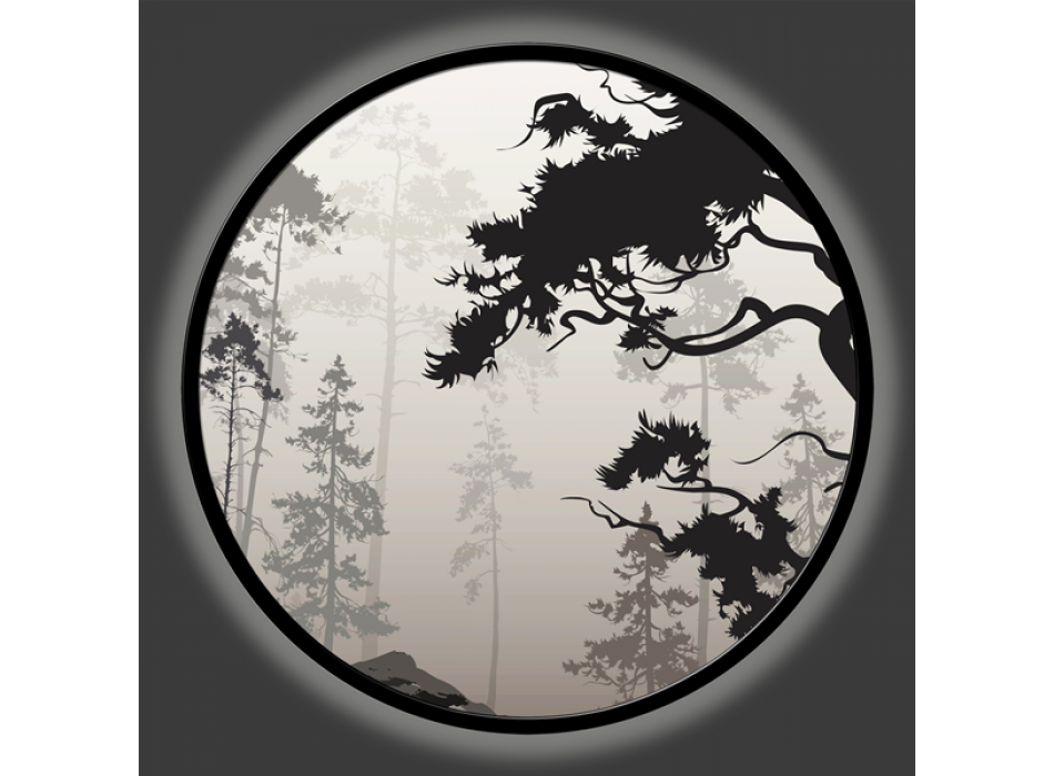 Obraz Tichý lesní světlo GLT6724 PINTDECOR