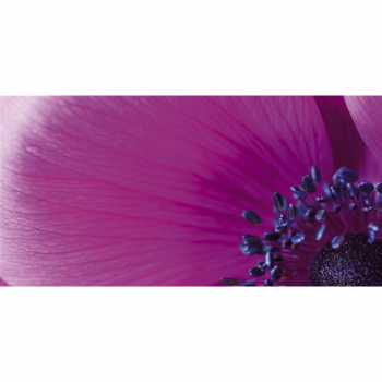 MACRO G1910 PINTDECOR malba