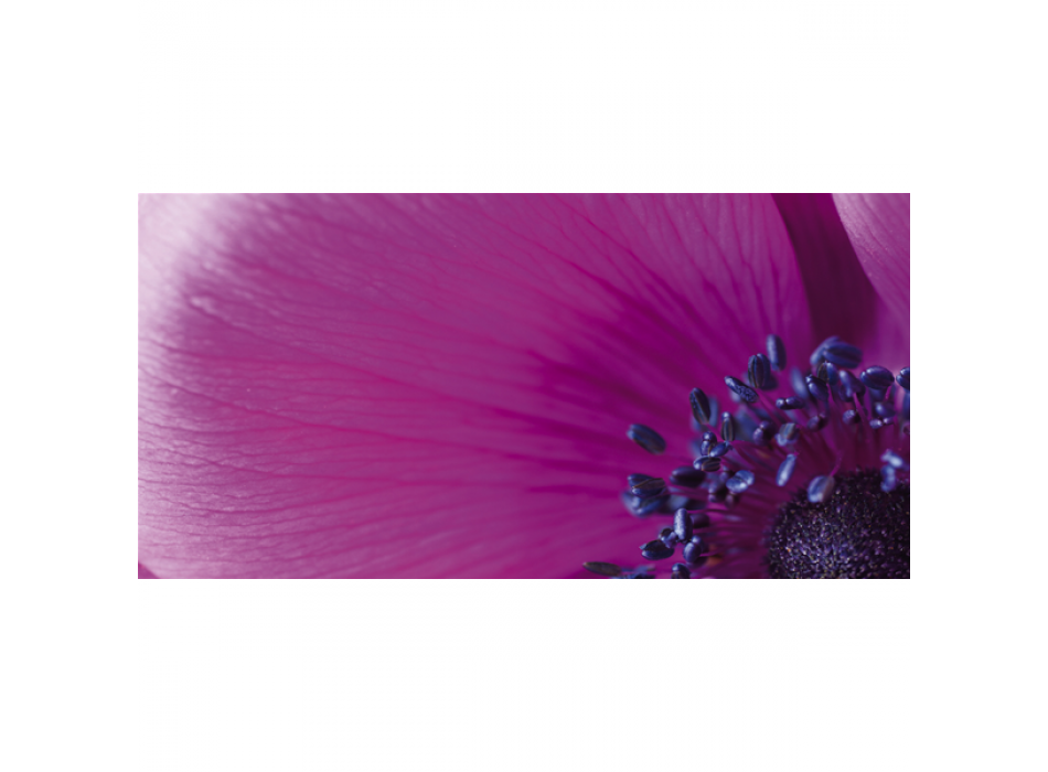 MACRO G1910 PINTDECOR malba