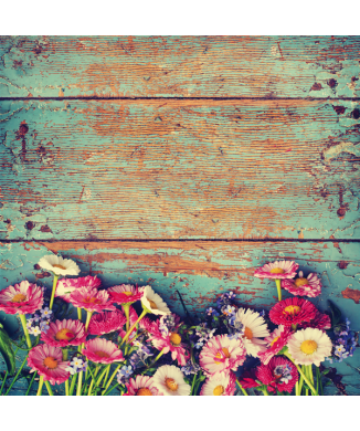 Obraz MARGHERITE G1088 PINTDECOR