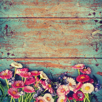 Obraz MARGHERITE G1088 PINTDECOR